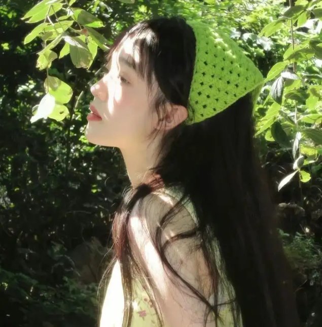 盗贼生涯 封面