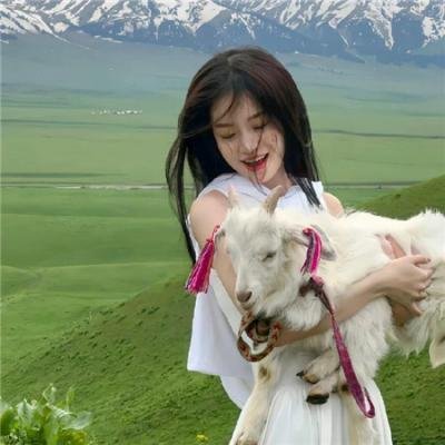 行运儍佬 封面